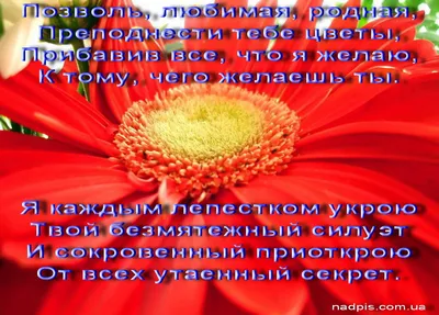 И ЕЩЕ… - Веселые истории в картинках, 1956-1957 Из архива журнала «Веселые  картинки»