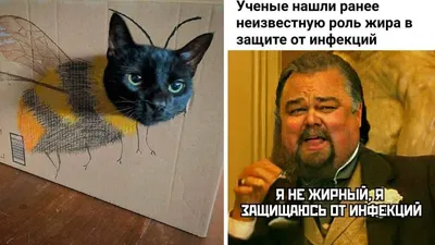 Утренние демотиваторы, мемы и смешные картинки