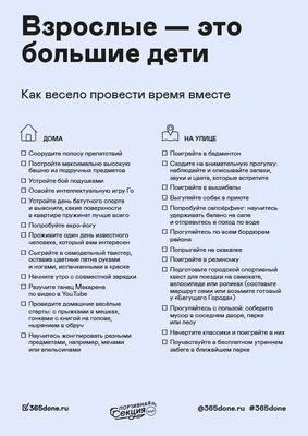 Алтей и Ко Раскраска для детей Кто летает 4 шт.