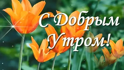 С добрым весенним утром!🌷☀️Солнечного дня! Красивая музыкальная открытка!  - YouTube