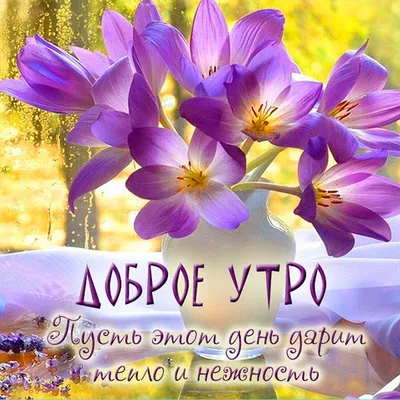 Доброе весеннее утро! | Открытки, Доброе утро, Веселые картинки