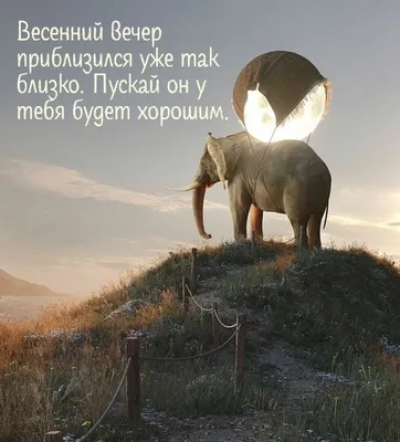 Тёплый весенний вечер... | Пикабу