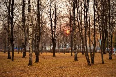 Фото Весенний вечер на Шерне. - фотограф Олег Репин - пейзаж, природа -  ФотоФорум.ру