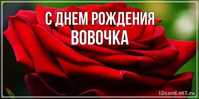 Открытка с именем Вовочка С днем рождения сердечки на день рождения для  лучших людей. Открытки на каждый день с именами и пожеланиями.