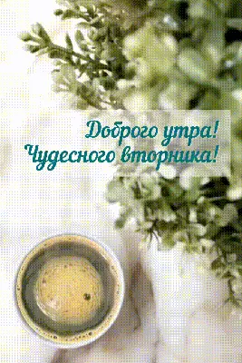 15 Марта , с Добрым Утром 💖! Вторник ! Супер Песня в открытке с  пожеланиями Доброго Утра !💖💖 - YouTube