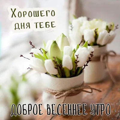 Картинки \"Доброе утро. Вторник\" (779 шт.)