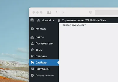 add_menu_page() – создаёт страницу в админке WordPress