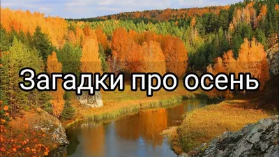 Сценарий игрового мероприятия «Золотая осень» в 1 классе (2 фото).  Воспитателям детских садов, школьным учителям и педагогам - Маам.ру