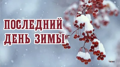 С Первым днем зимы! Звонкие открытки и нежные слова для россиян 1 декабря |  Весь Искитим | Дзен