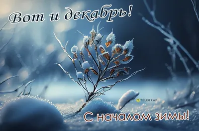 Акварельные сезоны: Чародейка-зима. Рисуем искристый иней, новогодние огни  и винтажные открытки (Елена Власова) - купить книгу с доставкой в  интернет-магазине «Читай-город». ISBN: 978-5-00-214242-2