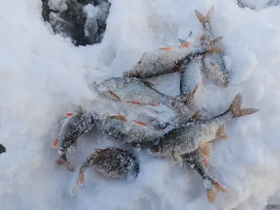 Черная пятница в Буслике! Скидки почти на ВСЁ: зимняя одежда и обувь,  игрушки и игры для лучшего подарка, детское питание и подгузники! … |  Instagram