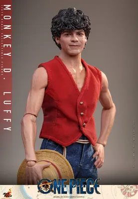Monkey. D. Luffy Sixth Scale Figure by Hot Toys | Sideshow Collectibles
