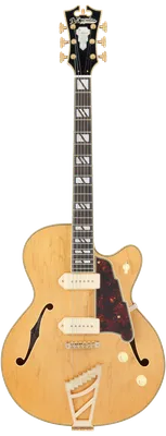 Homepage - D'Angelico Guitars