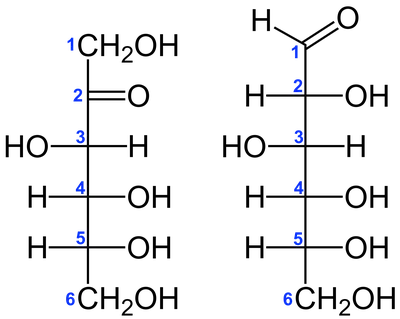 File:D-Fructose vs. D-Glucose Structural Formulae V.1.svg - Wikipedia