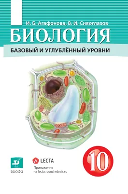 1967-й год: 10-Б класс средней школы № 1, город Жлобин, Гомельская область,  Белоруссия