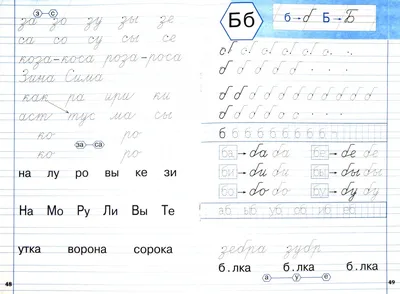 Развивающие и математические раскраски - Дед Мороз. Состав числа 8. Парная  математическая раскраска