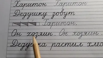 Функциональная грамотность 1 класс. Тренажер для школьников - Издательство  «Планета»