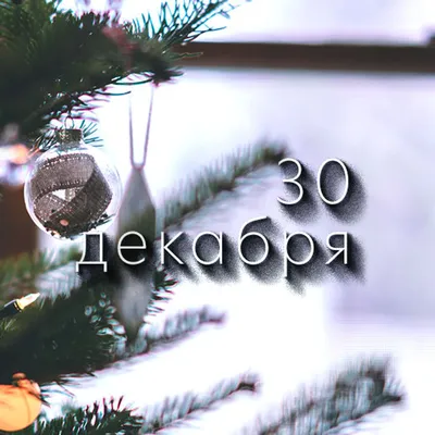 Какой сегодня день: 30 декабря - 30.12.2023, Sputnik Беларусь