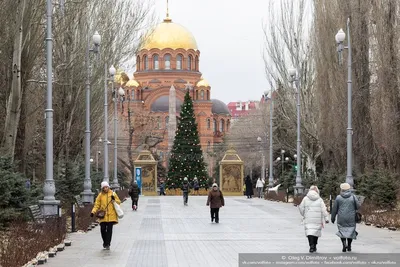 Новогодние праздники в России начнутся 30 декабря и продлятся десять дней -  Общество - ДАН