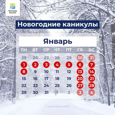 30 декабря: какой сегодня праздник? - 7Дней.ру