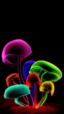40 3D iPhone Lock Screen Wallpapers For 2017 - Bored Art | Mushroom  wallpaper, Samsung wallpaper, 3d wallpaper for mobile