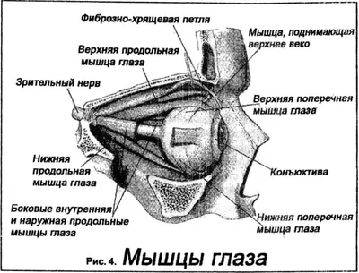 Массажер для глаз ￼ RUGES ￼ Очки массажные \"Взгляд\" - «Улучшение зрения в  домашних условиях.» | отзывы