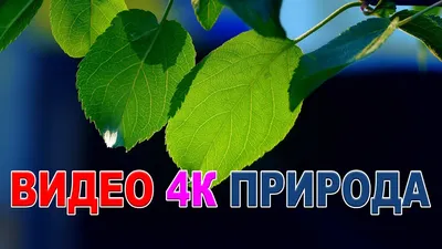 Природа - озеро 4K загрузка обоев