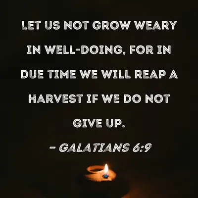 Galatians 6:9 - Bible verse - DailyVerses.net