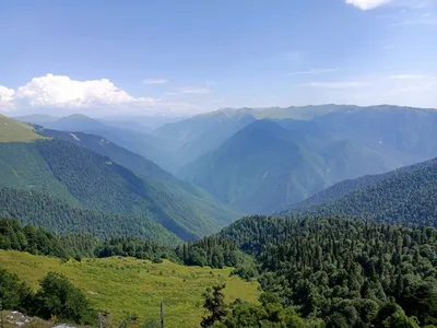 Абхазия: два заповедника