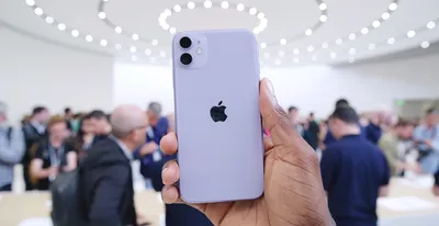 Силиконовый чехол для iPhone 11 с принтом «Милые котята» — купить в  интернет-магазине Case Place