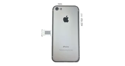 Силиконовый чехол для iPhone 5/5S/SE с принтом «Черно-белый кот» — купить в  интернет-магазине Case Place