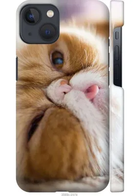 Силиконовый чехол Смешной енот (Funny raccoon) для Apple Iphone 11 Pro Max  (ID#1308619980), цена: 450 ₴, купить на Prom.ua