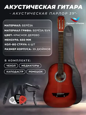 Гитара акустическая Аккорд ACD-39A-513 EC купить в Минске
