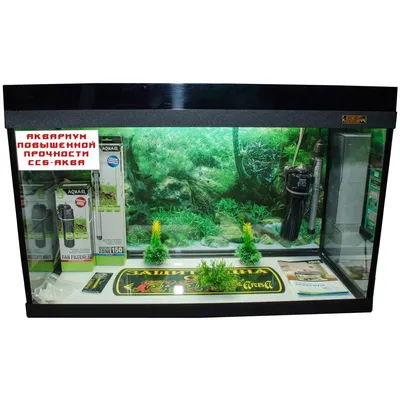 Круглый аквариум Tetra Cascade Globe 6,8 л купить в интернет магазине