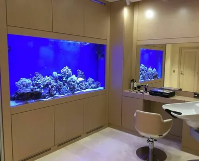 Морской аквариум у вас дома | Пикабу
