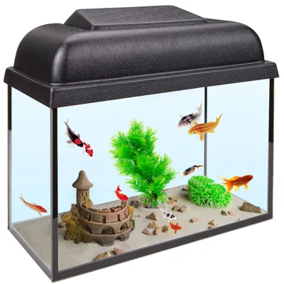 Аквариум 800 (900) литров | Официальный сайт производителя аквариумов  ССБ-аква