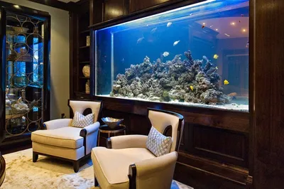 Красивый аквариум с рыбками …» — создано в Шедевруме