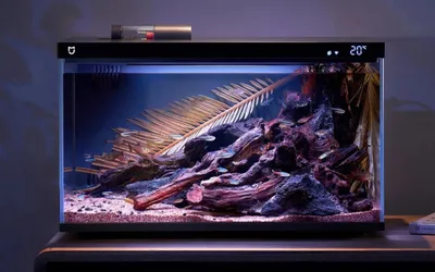 Морской аквариум с кораллами на заказ