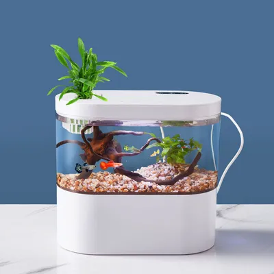 Как оформить аквариум: красивые идеи своими руками