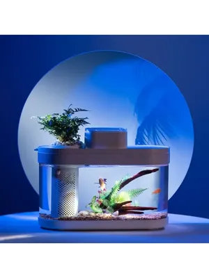 Умный аквариум Xiaomi Petkit Origin Intelligent Fish Tank + Landscape Quiet  Stone Set купить выгодно в Москве | Xiaomi-on
