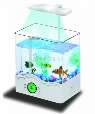 Прозрачный маленький аквариум для рыб, зеркальный круглый самодельный  аквариум для рыб, прозрачный для гостиной, микро Landschaft, стол для  спальни, Золотая Рыба | AliExpress