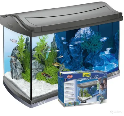 Морской аквариум в Juwel Rio 450. Магазин аквариумов Акватория
