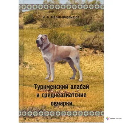 Щенки Алабая в продаже - Щенки алабая, рабочие собаки, охранные собаки,  щенки среднеазиатской овчарки, щенки аусси, щенки австралийской овчарки,  щенки из питомника, щенки с родословной, туркменский волкодав, алабай,  среднеазиатская овчарка, central asian