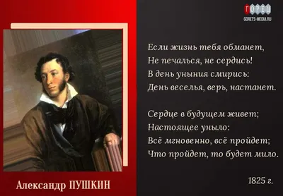 Последняя тайна Пушкина: криминалист из Кузбасса развенчал скандальную  теорию «Пушкин - это Дюма» - KP.RU