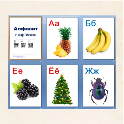 Мир открыток Обучающие плакаты постер алфавит буквы и счет с картинками