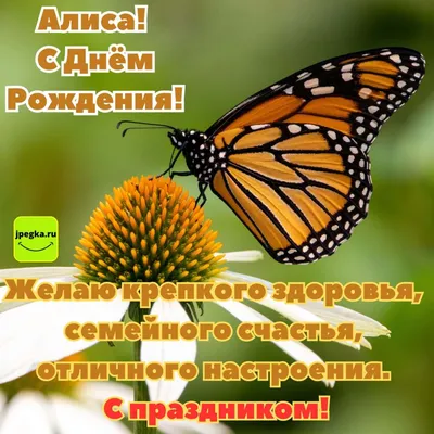 Алиса, С Днём Рождения 🌺🌺🌺 На целый год ты старше стала🎀🎀🎀 Тебе,  малышка, восемь лет💝💝💝.. | ВКонтакте