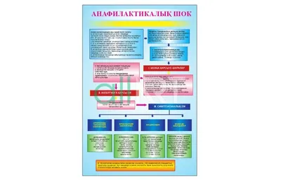 Анафилактический шок