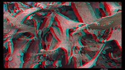 3D стерео видеоролик анаглиф №1 | 3D stereo video anaglyph # 1 - YouTube