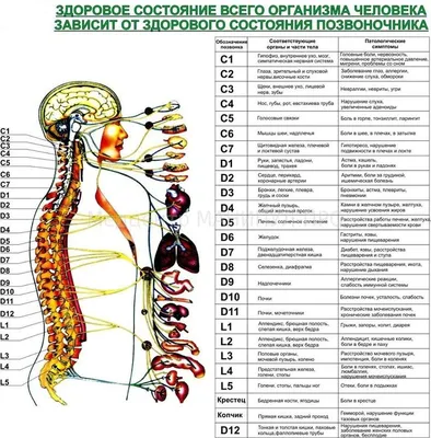 Болезнь Крона: причины, симптомы и лечение в статье эндоскописта Магомедов  С. М.