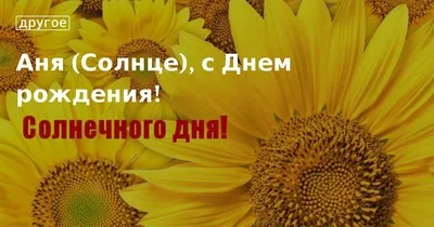 Анечка, с Днём Рождения: гифки, открытки, поздравления - Аудио, от Путина,  голосовые